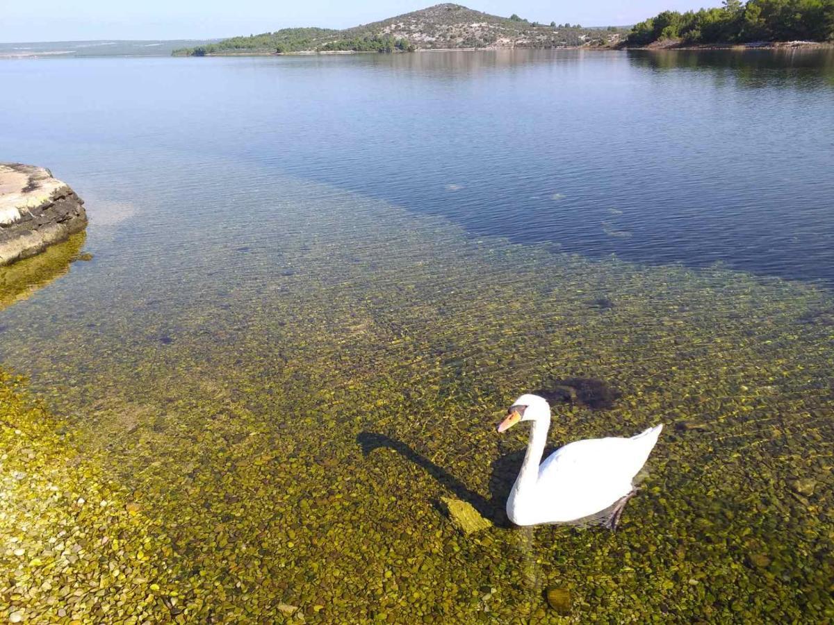 Villa Grandeza Šibenik Exterior foto